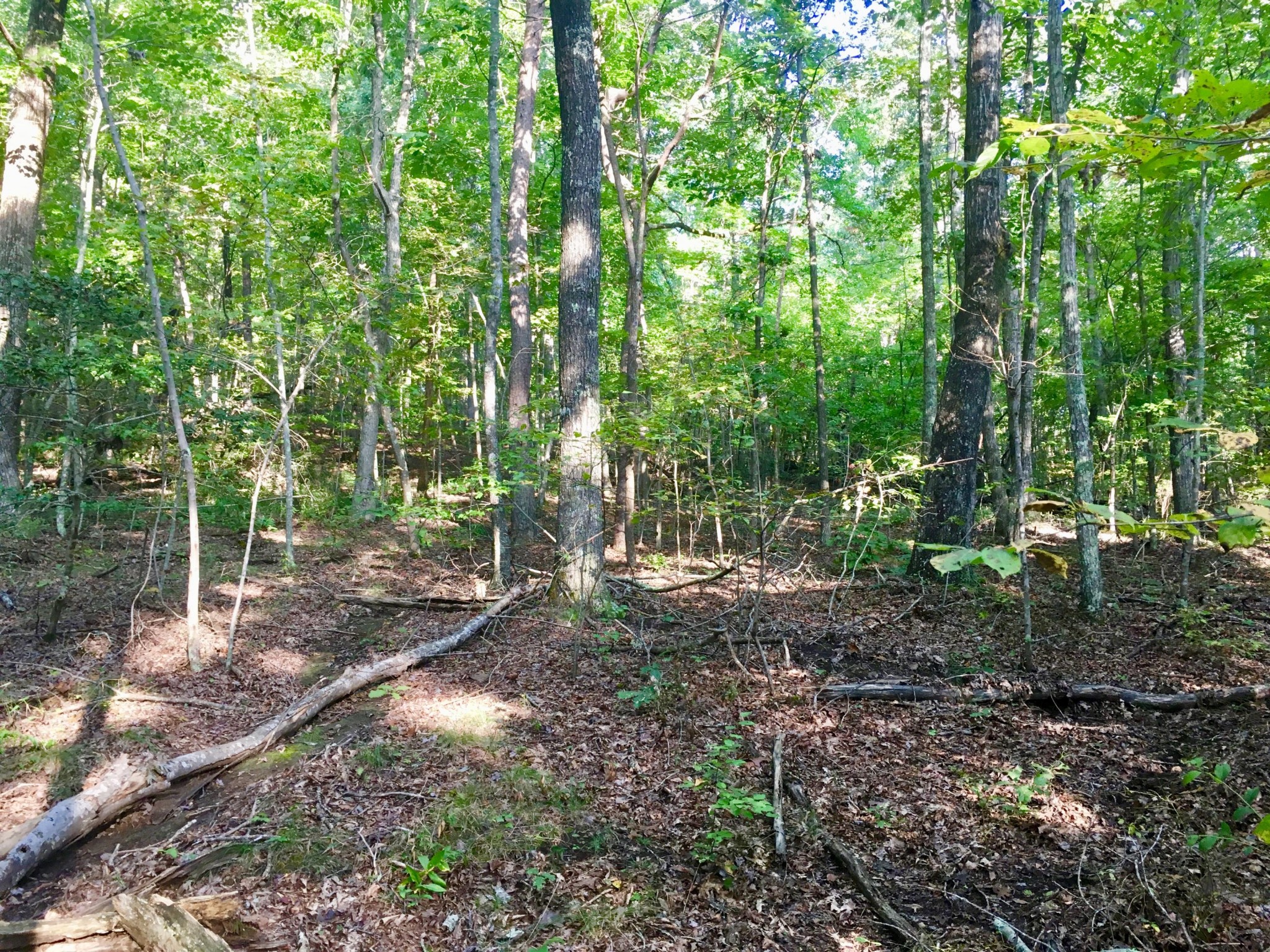 522 Vulcan Road Rising Fawn, GA 30738 - Photo 2 of 11