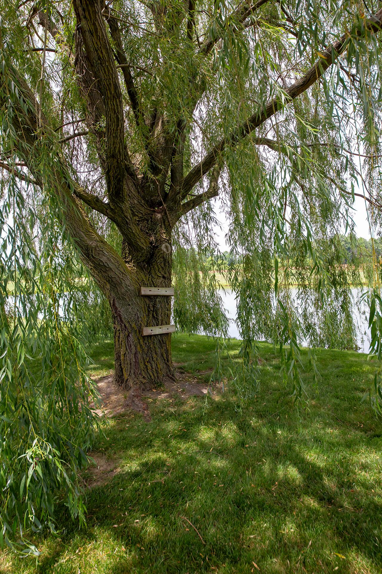 1176 Dale Ford Road Delaware, OH 43015 - Photo 61 of 77 61 Pond