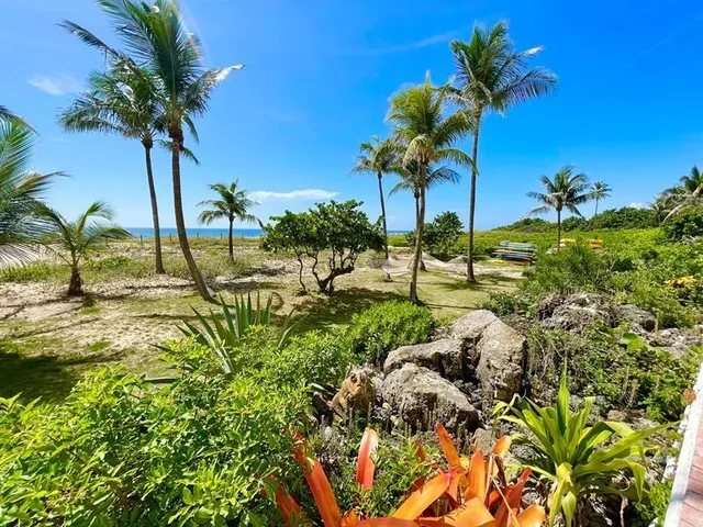 a view of a garden with a tree