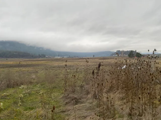 $84,900 | 13-xx Indian Springs Trail, Chewelah, WA 99109