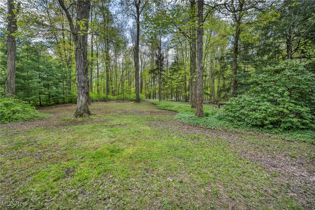 800 Bell Road Chagrin Falls, OH 44022 - Photo 30 of 35 View of yard with a view of trees
