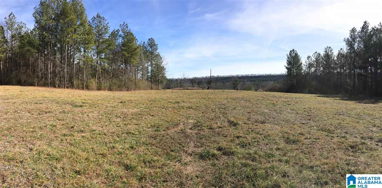 0 Shoal Creek Road, Unit 10 AC Ashville, AL 35953 - Photo 9 of 13