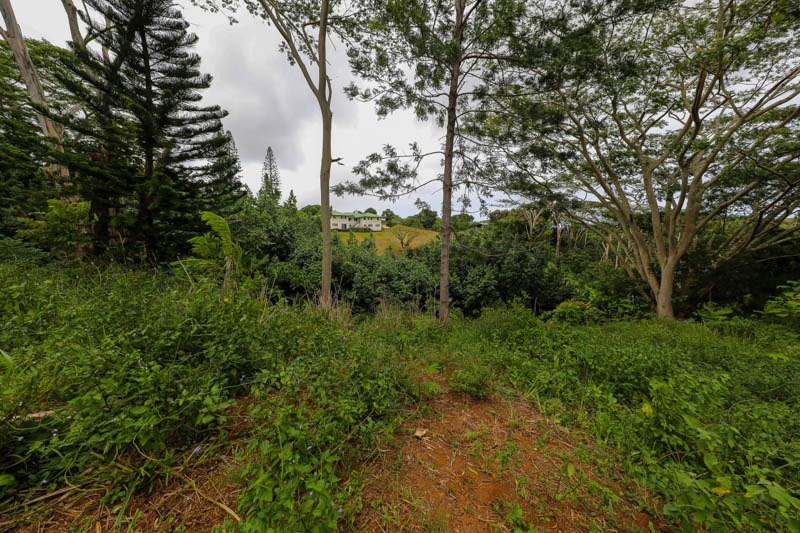 37 Omao Road Koloa, HI 96756 - Photo 24 of 29