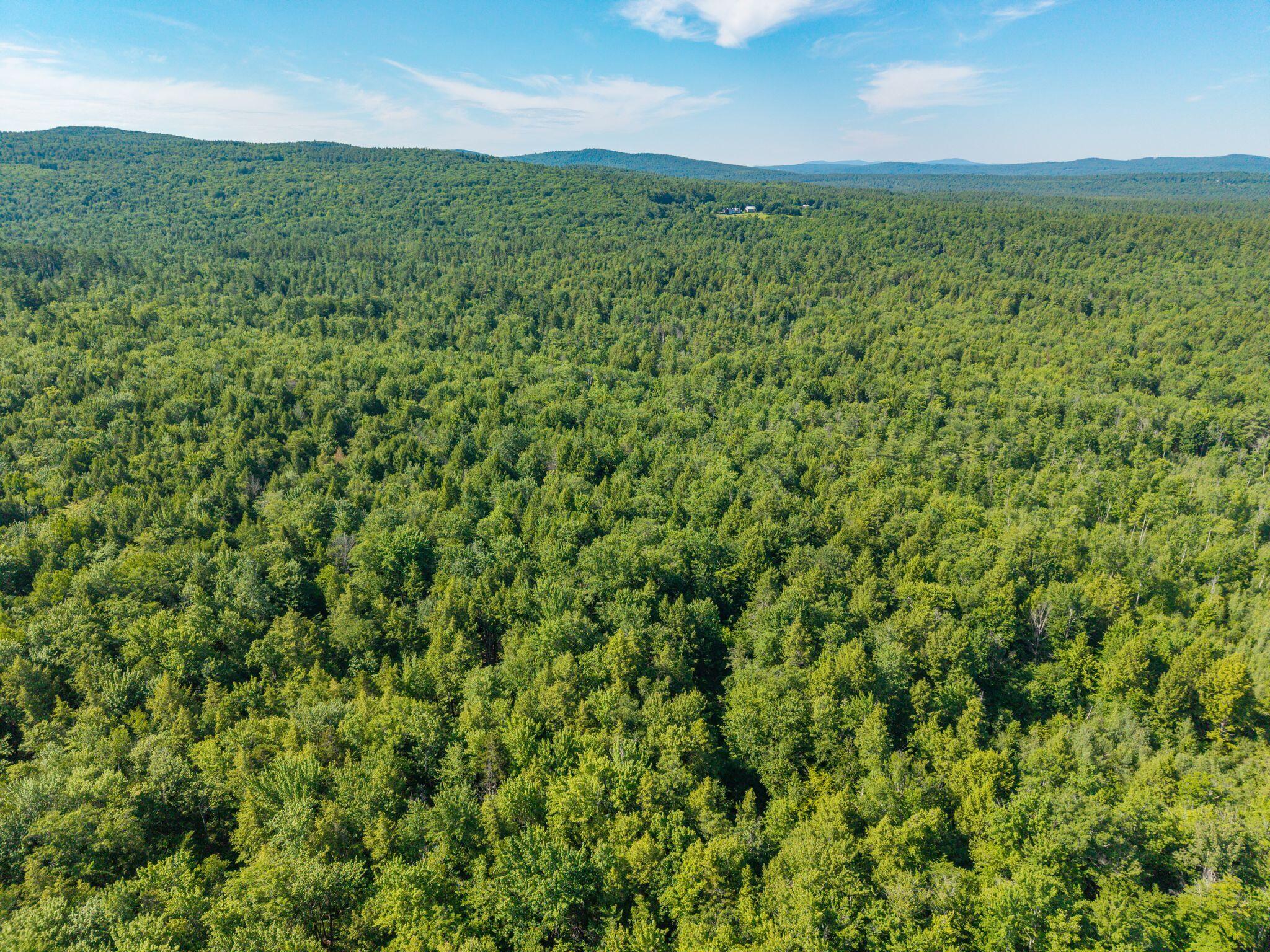 129 Hobbs Swamp Road Parsonsfield, ME 04047 - Photo 7 of 11 Hobb_Swamp_Rd_013