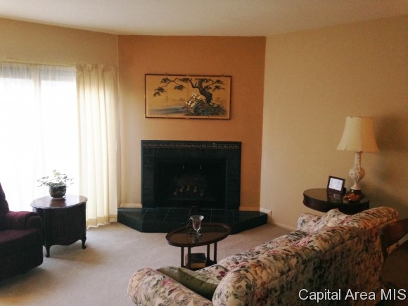 19 Country Place Springfield, IL 62703 - Photo 2 of 20