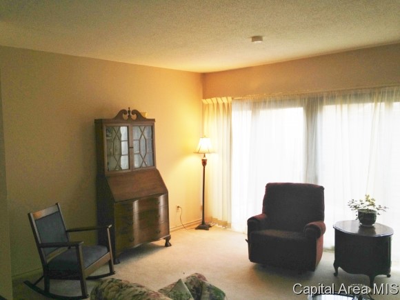 19 Country Place Springfield, IL 62703 - Photo 3 of 20