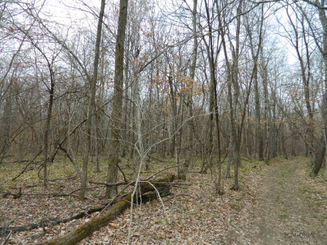 84 M/l Ac State Road, Unit A Auxvasse, MO 65231 - Photo 5 of 6