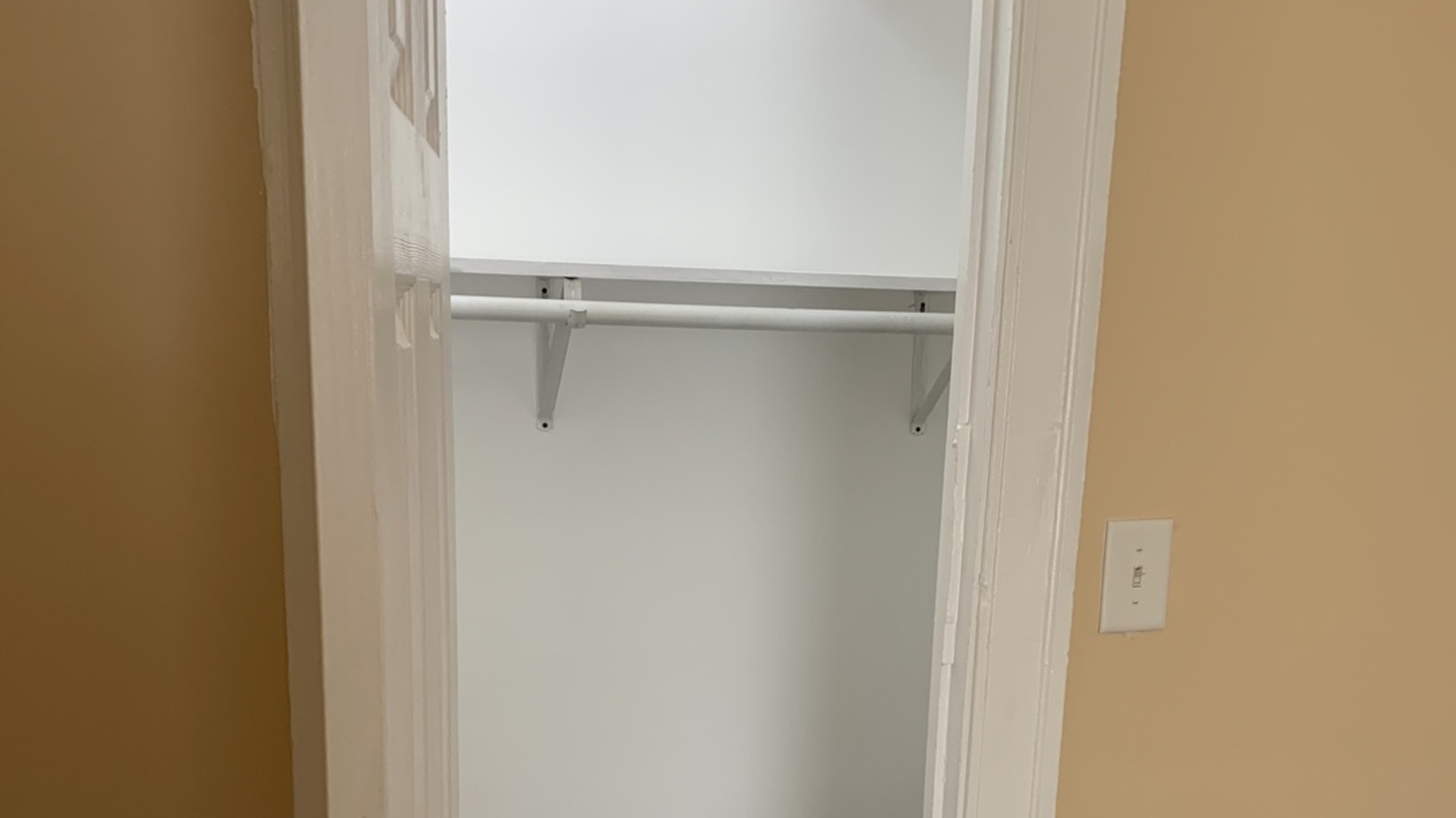 7831 South Cornell Avenue, Unit 3 Chicago, IL 60649 - Photo 4 of 11 a close view of closet