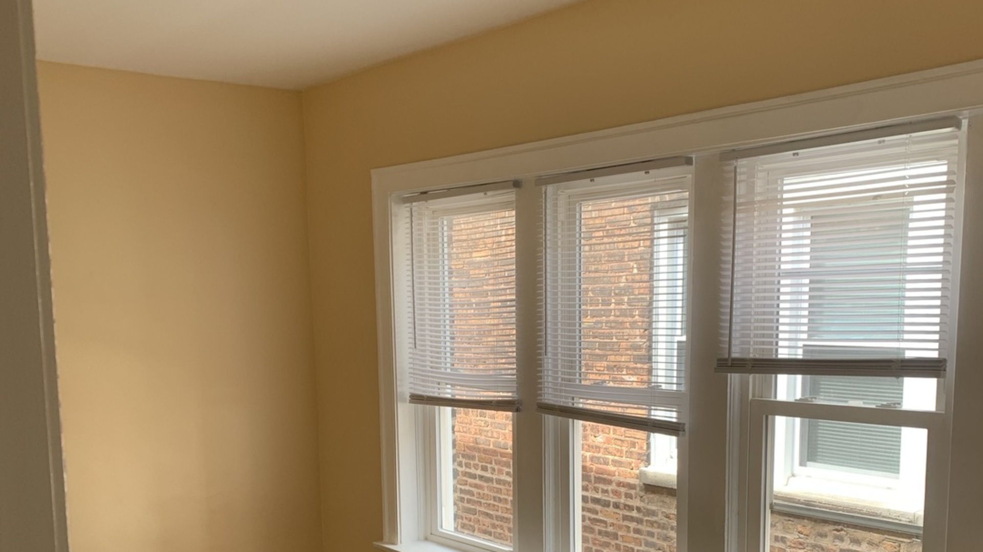 7831 South Cornell Avenue, Unit 3 Chicago, IL 60649 - Photo 5 of 11 a view of an empty room with a window