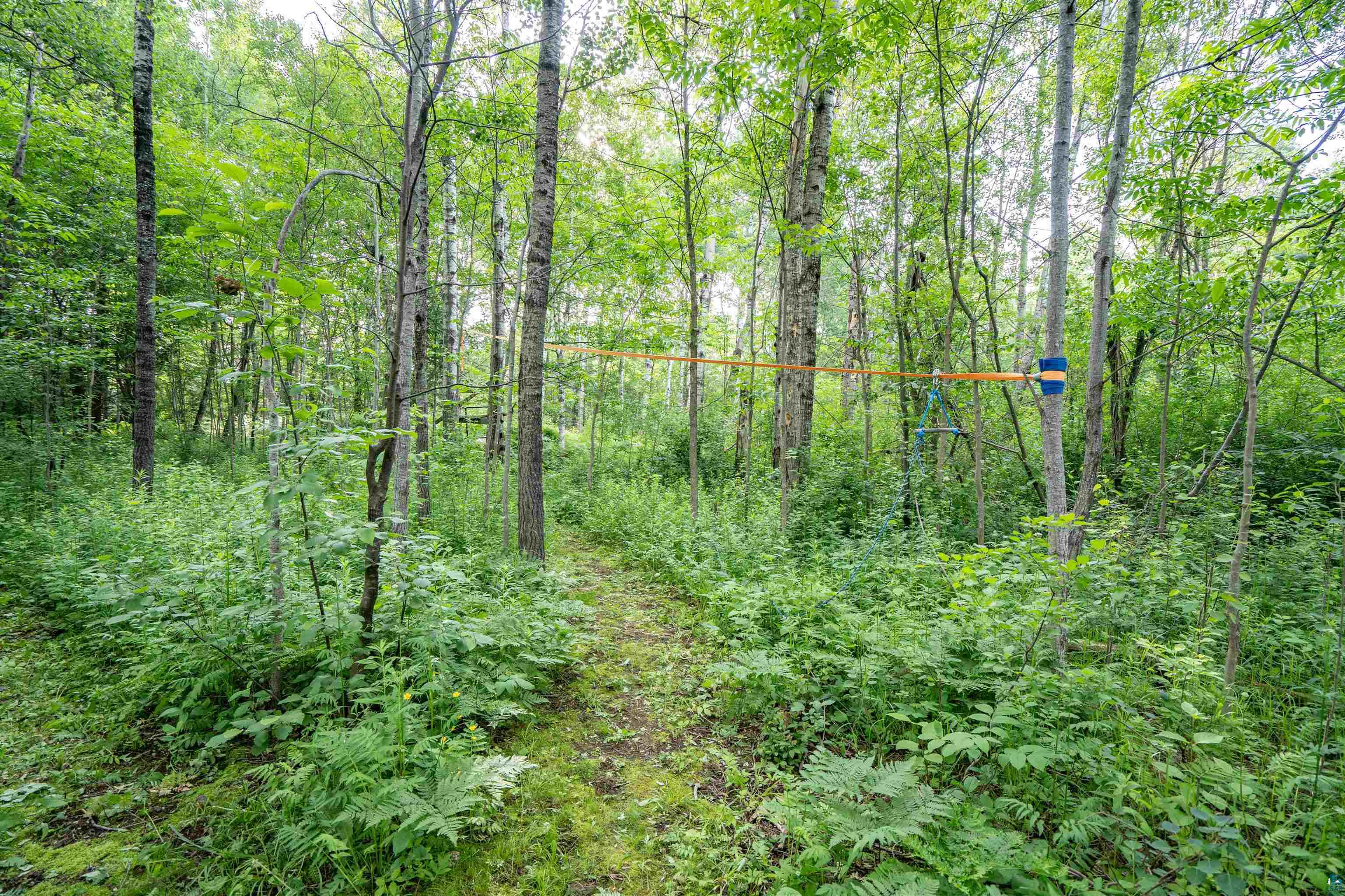 517 North Farrell Road Duluth, MN 55811 - Photo 30 of 40 Gallery Image 30