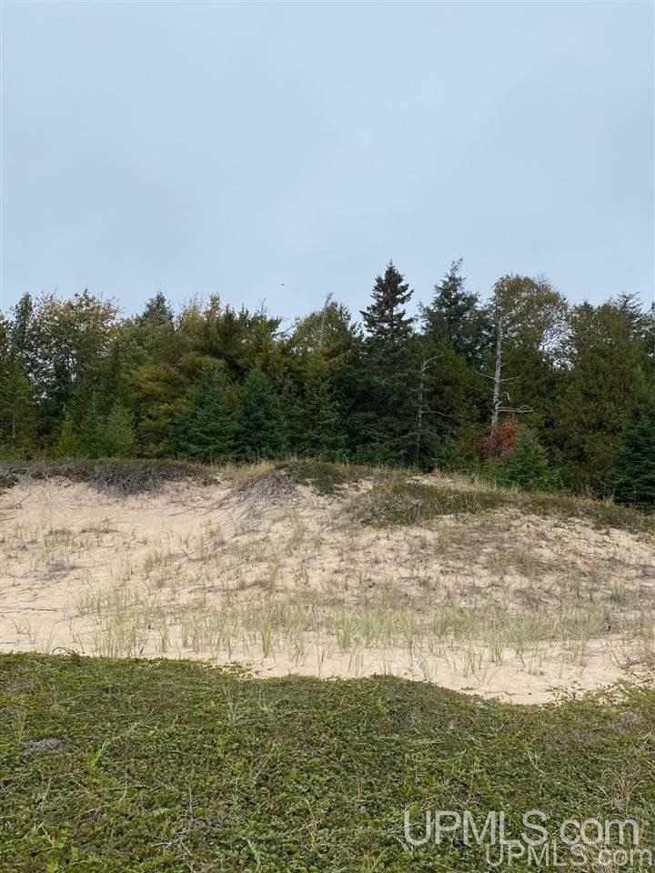Tbd South Wiggins Point Trail Manistique, MI 49854 - Photo 18 of 18