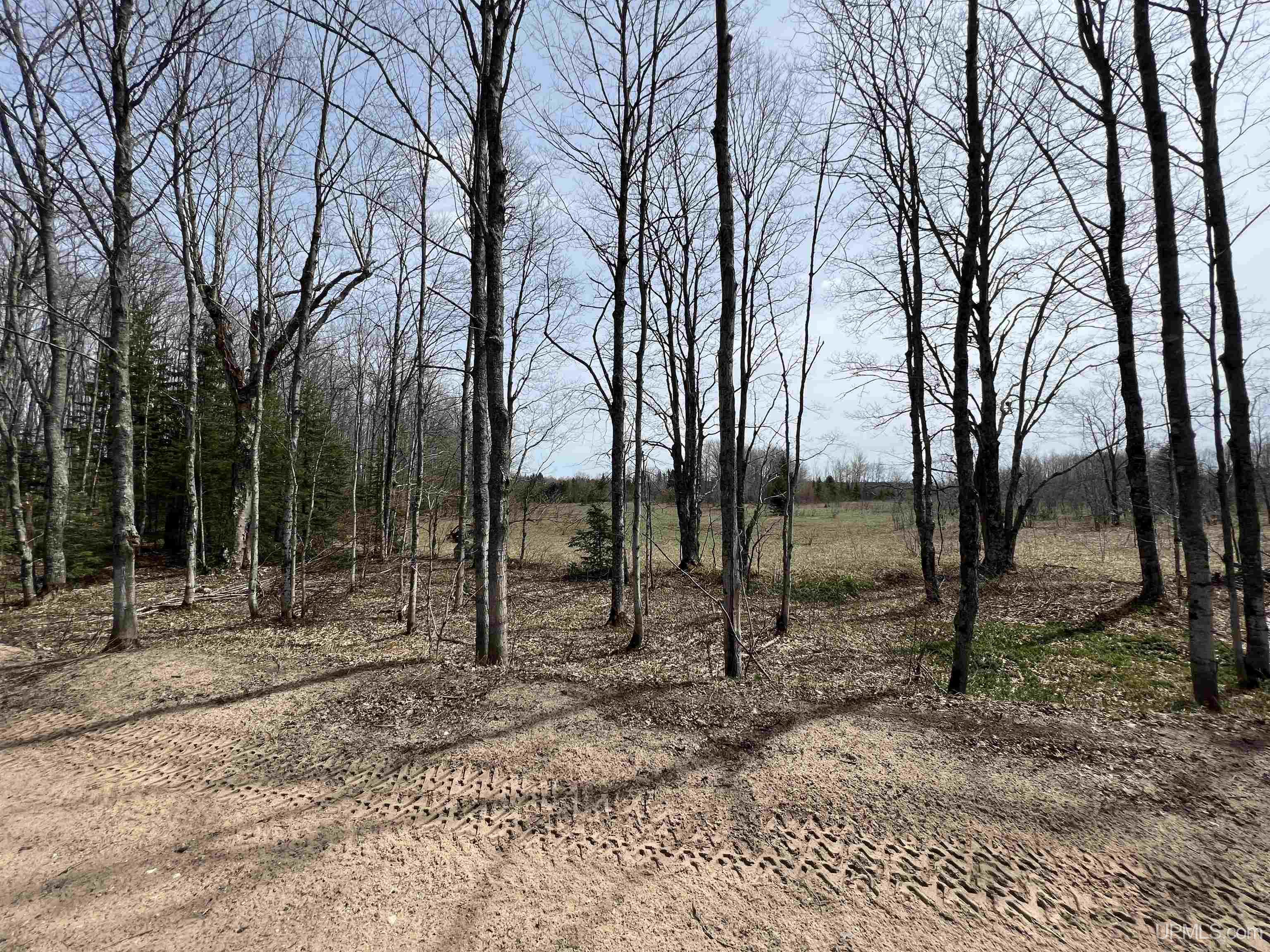 H58 St Shingleton Mi 49895 Shingleton, MI 49884 - Photo 15 of 21