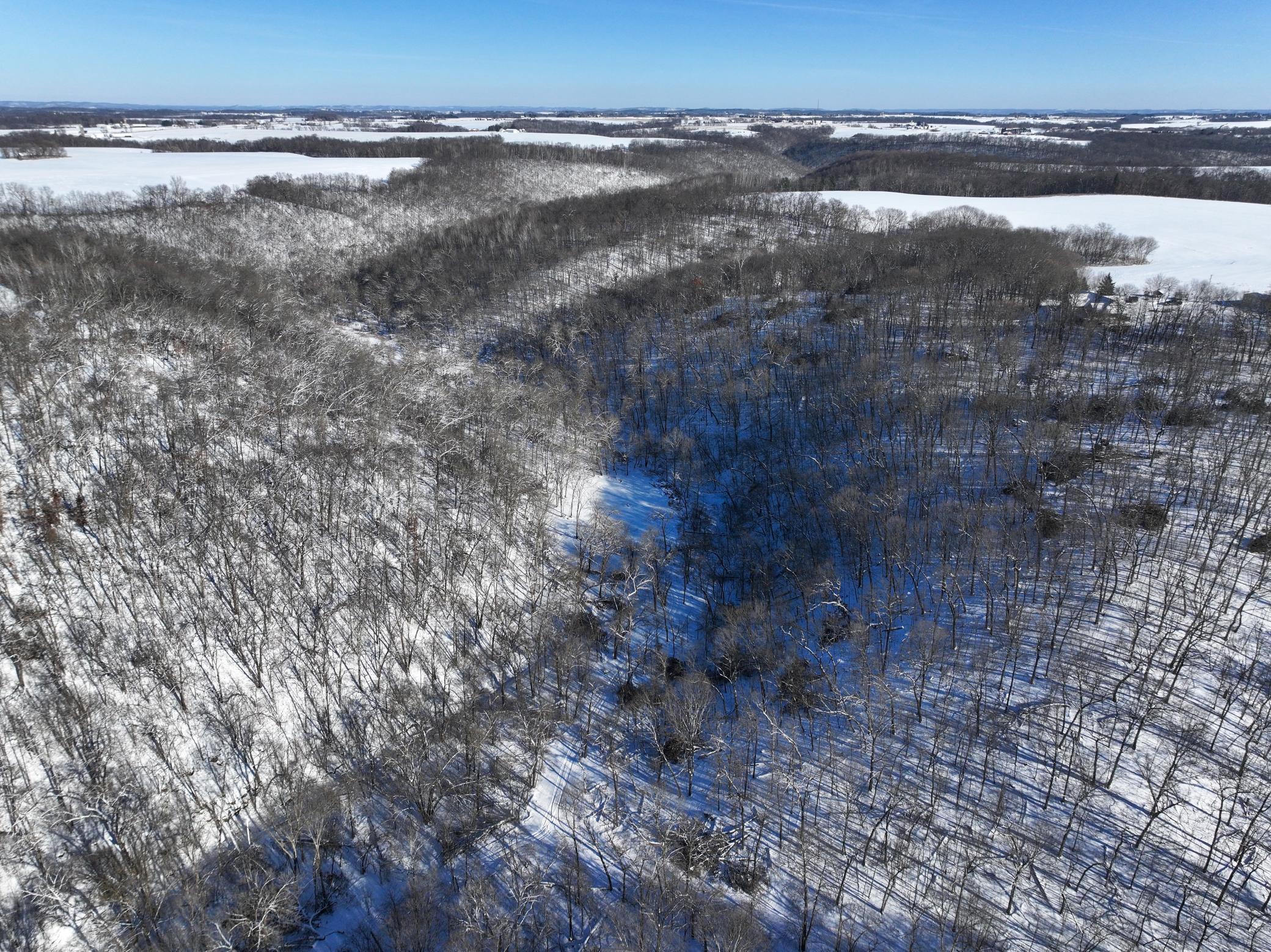 Tbd Pine Ridge Drive Dakota, MN 55925 - Photo 11 of 23