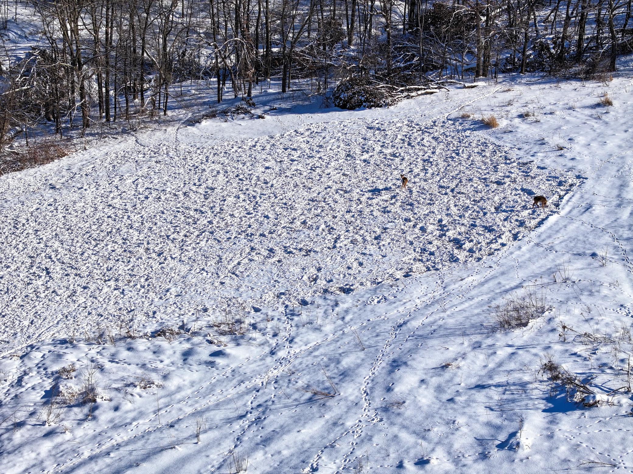 Tbd Pine Ridge Drive Dakota, MN 55925 - Photo 12 of 23