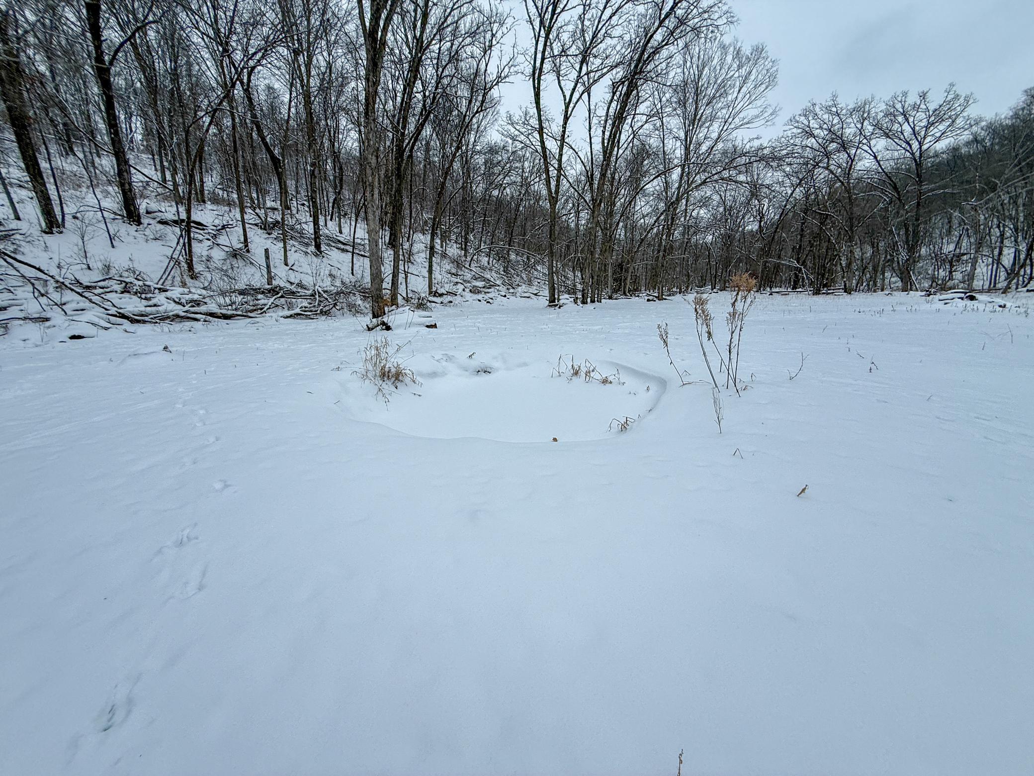 Tbd Pine Ridge Drive Dakota, MN 55925 - Photo 15 of 23