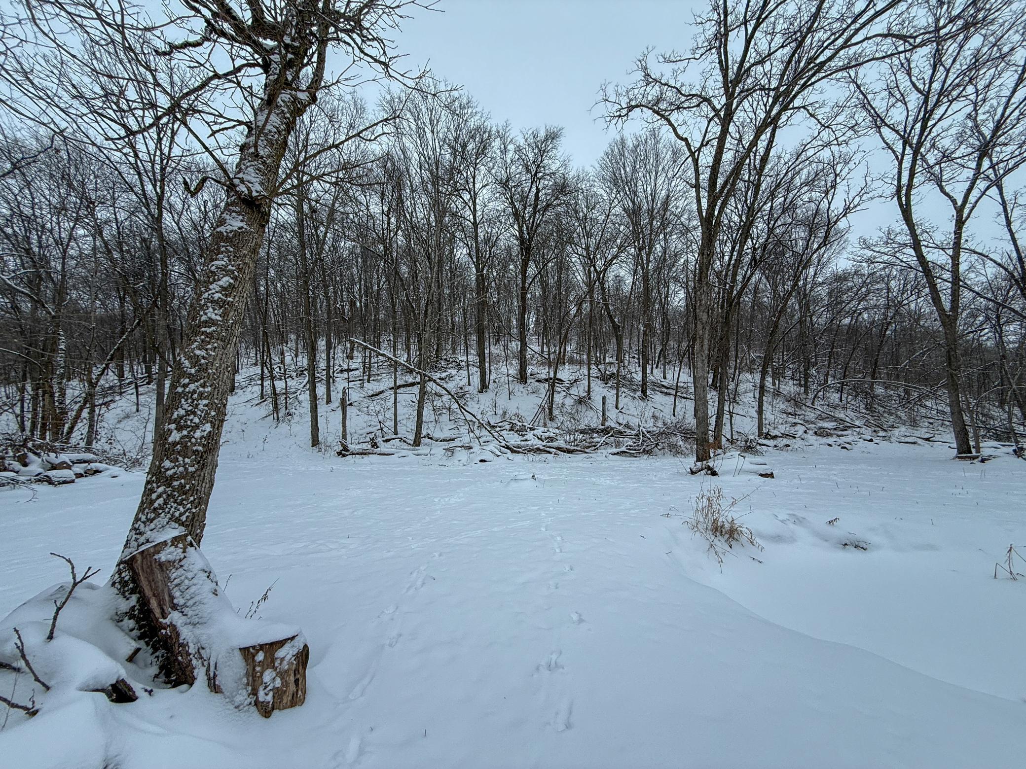 Tbd Pine Ridge Drive Dakota, MN 55925 - Photo 16 of 23