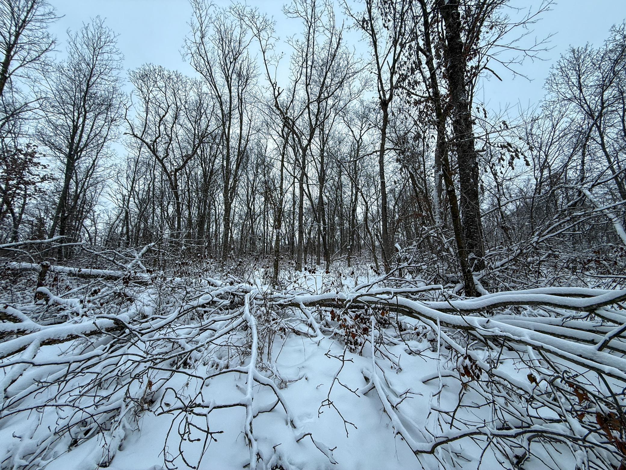 Tbd Pine Ridge Drive Dakota, MN 55925 - Photo 20 of 23