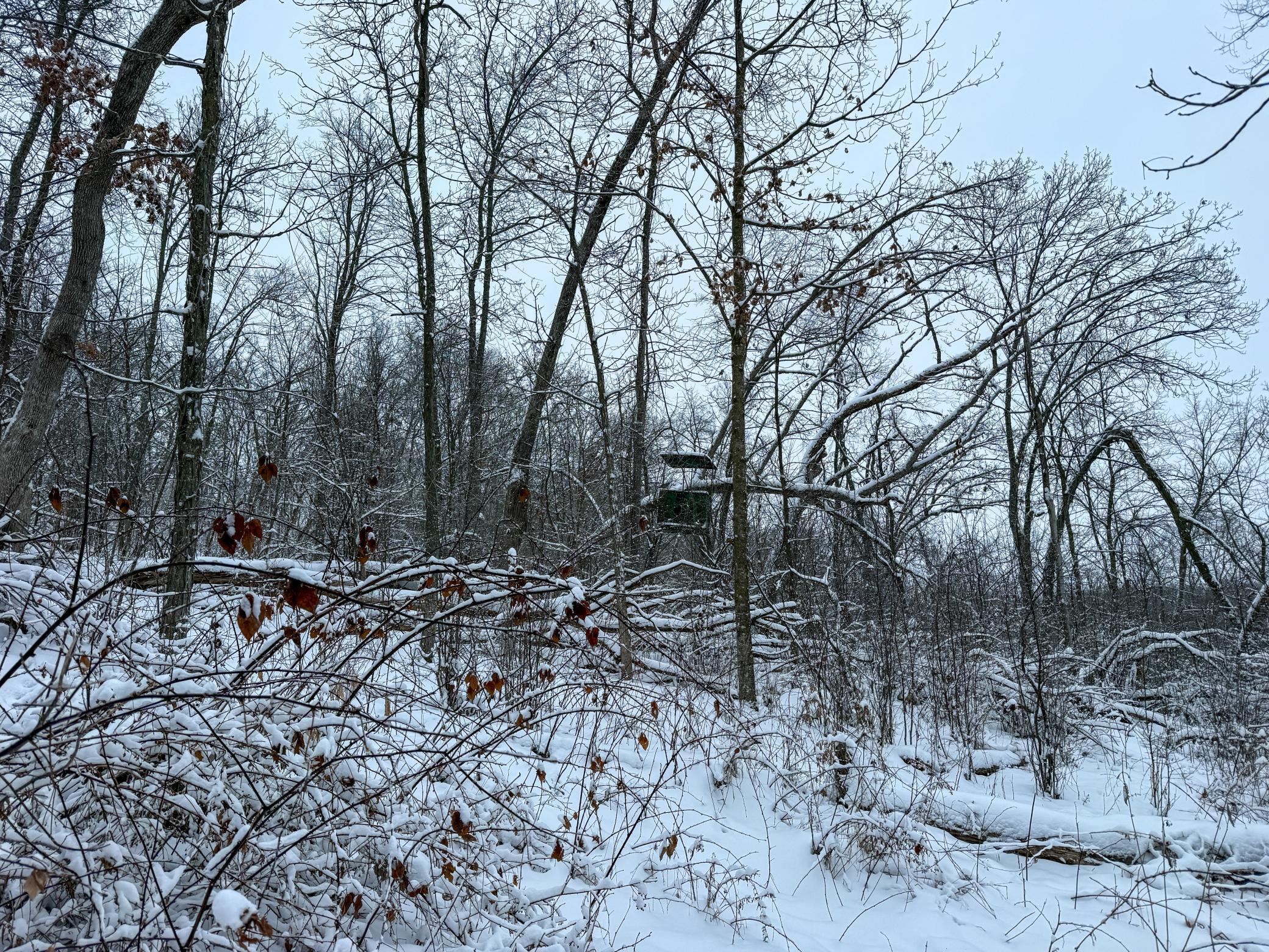 Tbd Pine Ridge Drive Dakota, MN 55925 - Photo 21 of 23