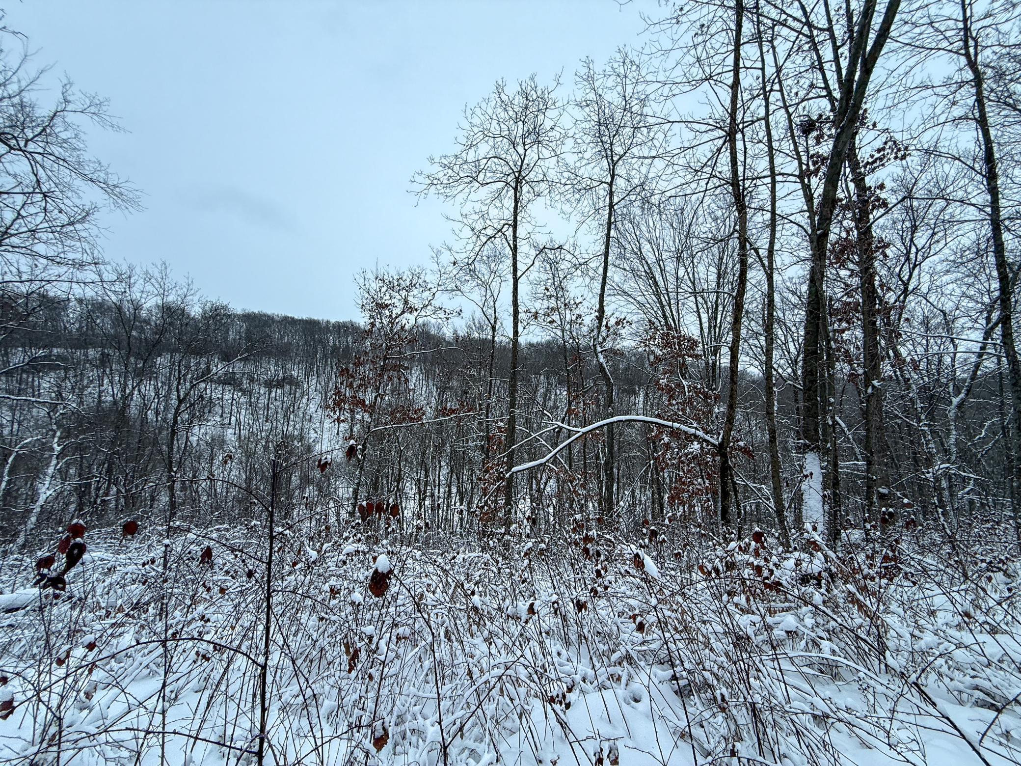 Tbd Pine Ridge Drive Dakota, MN 55925 - Photo 22 of 23
