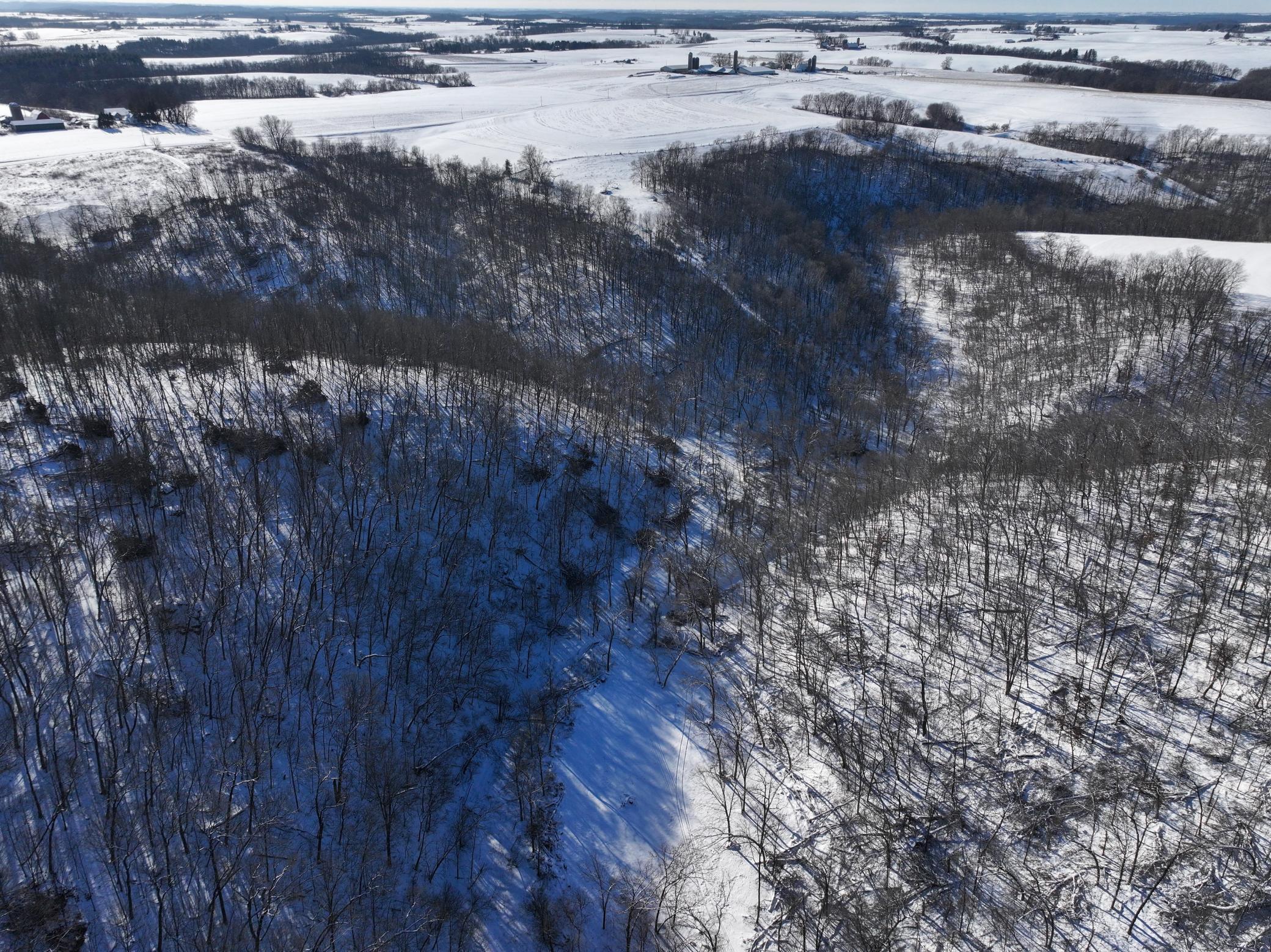 Tbd Pine Ridge Drive Dakota, MN 55925 - Photo 3 of 23