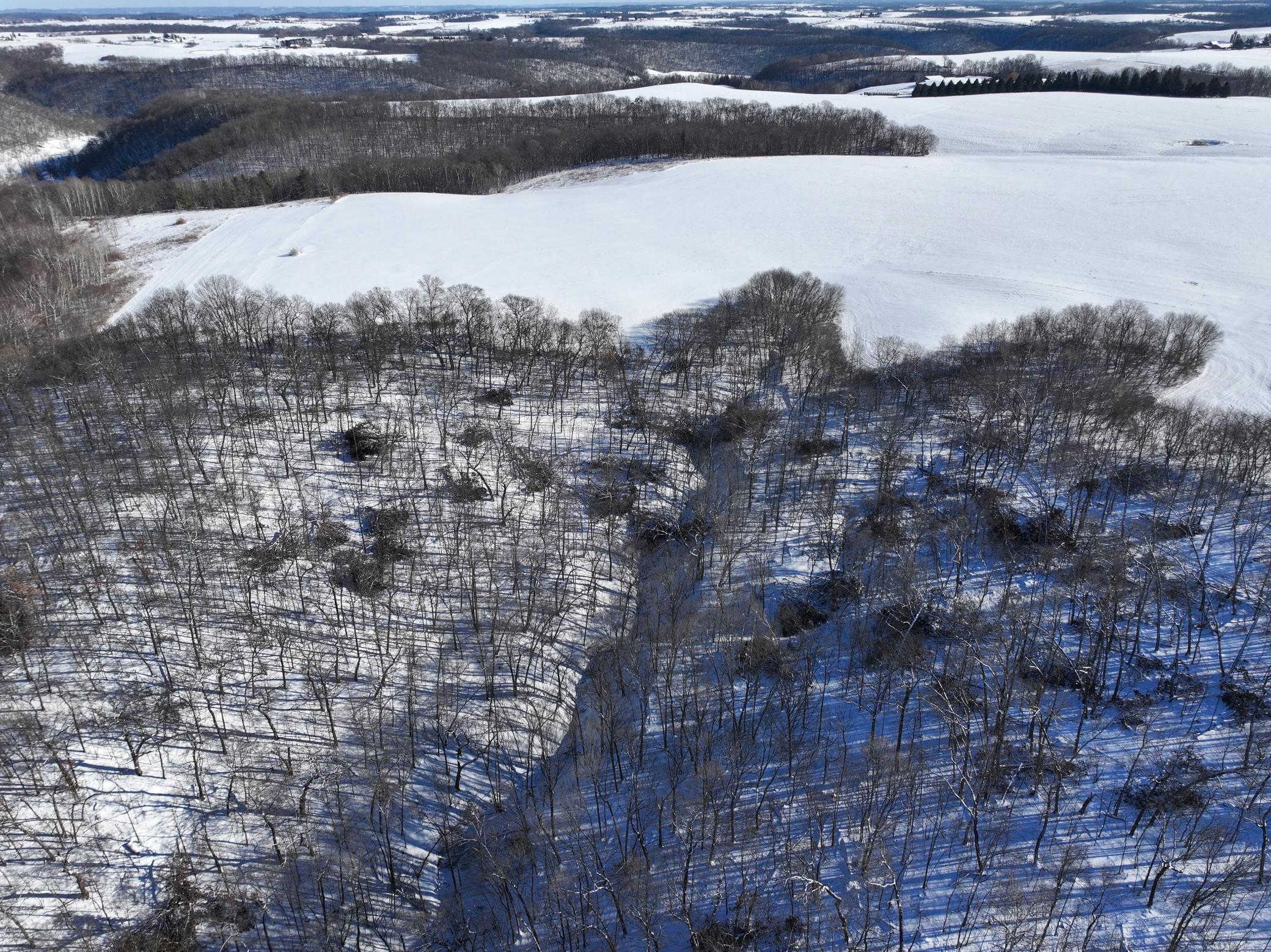 Tbd Pine Ridge Drive Dakota, MN 55925 - Photo 4 of 23