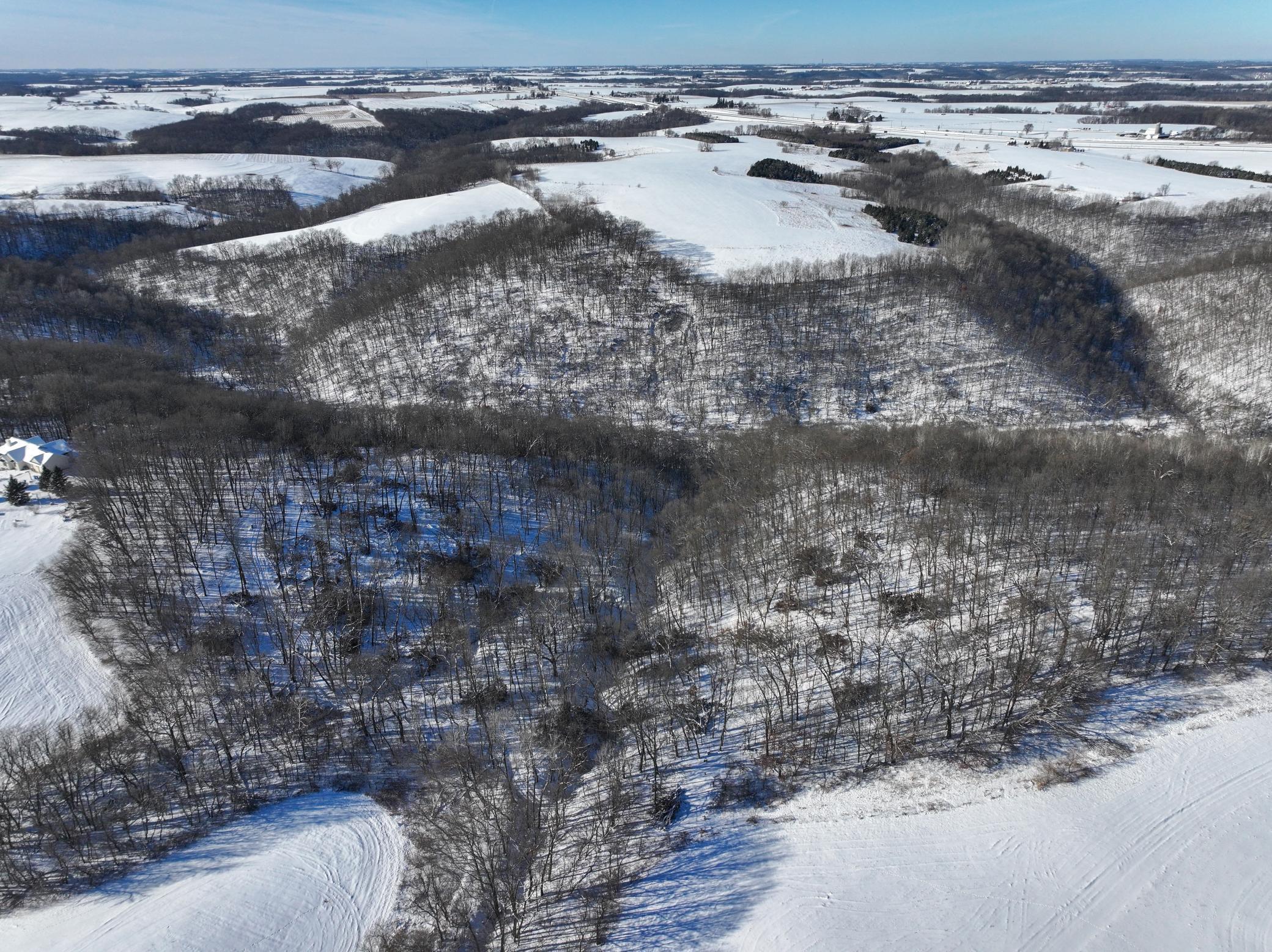 Tbd Pine Ridge Drive Dakota, MN 55925 - Photo 6 of 23