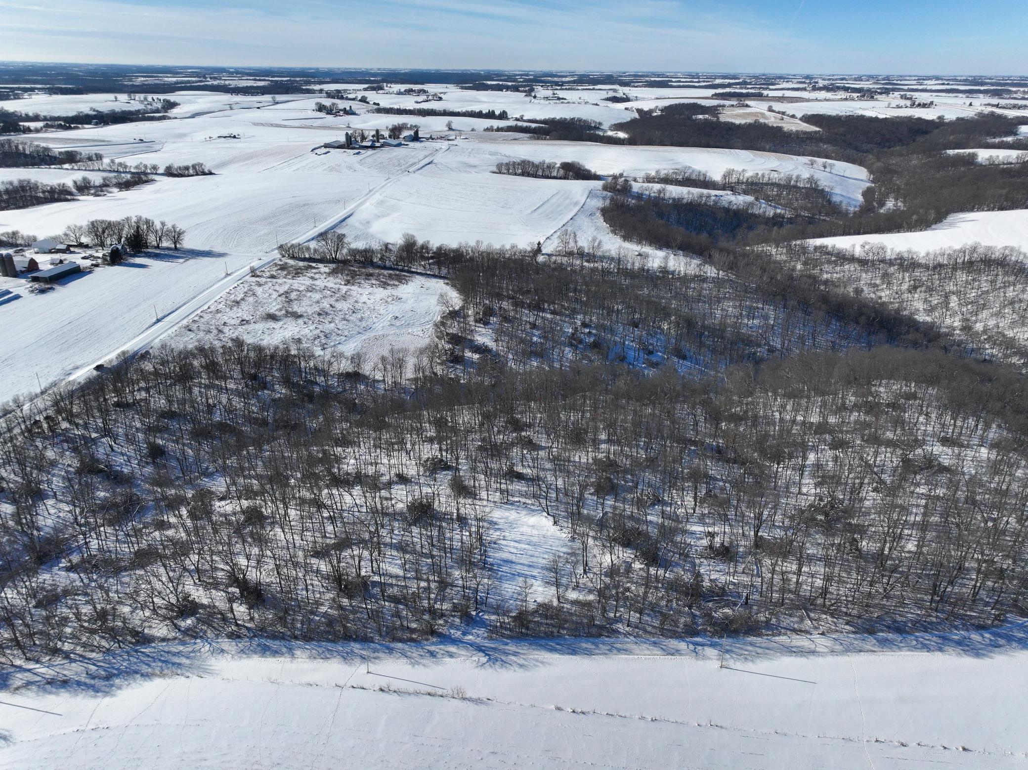 Tbd Pine Ridge Drive Dakota, MN 55925 - Photo 7 of 23