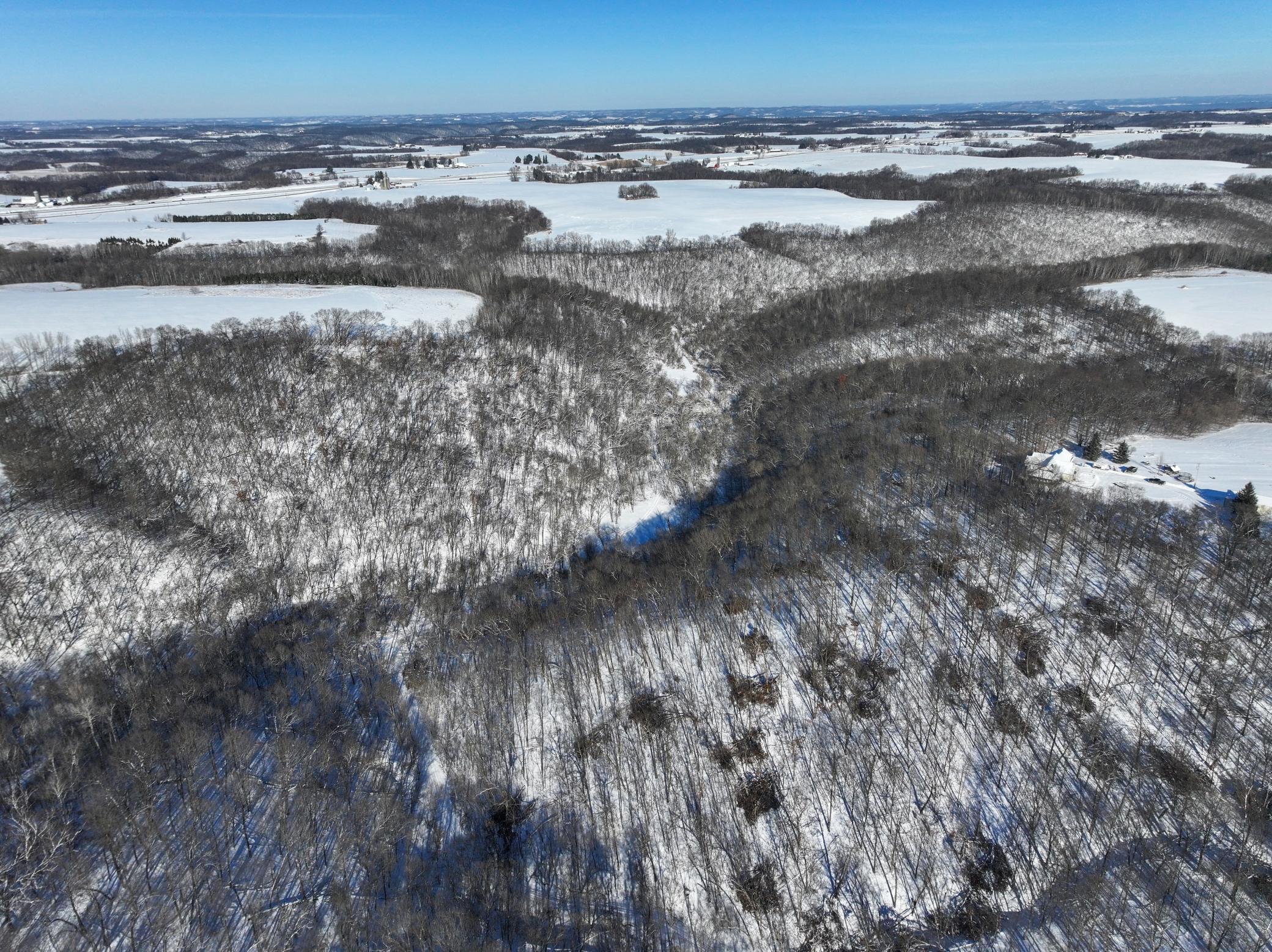 Tbd Pine Ridge Drive Dakota, MN 55925 - Photo 8 of 23