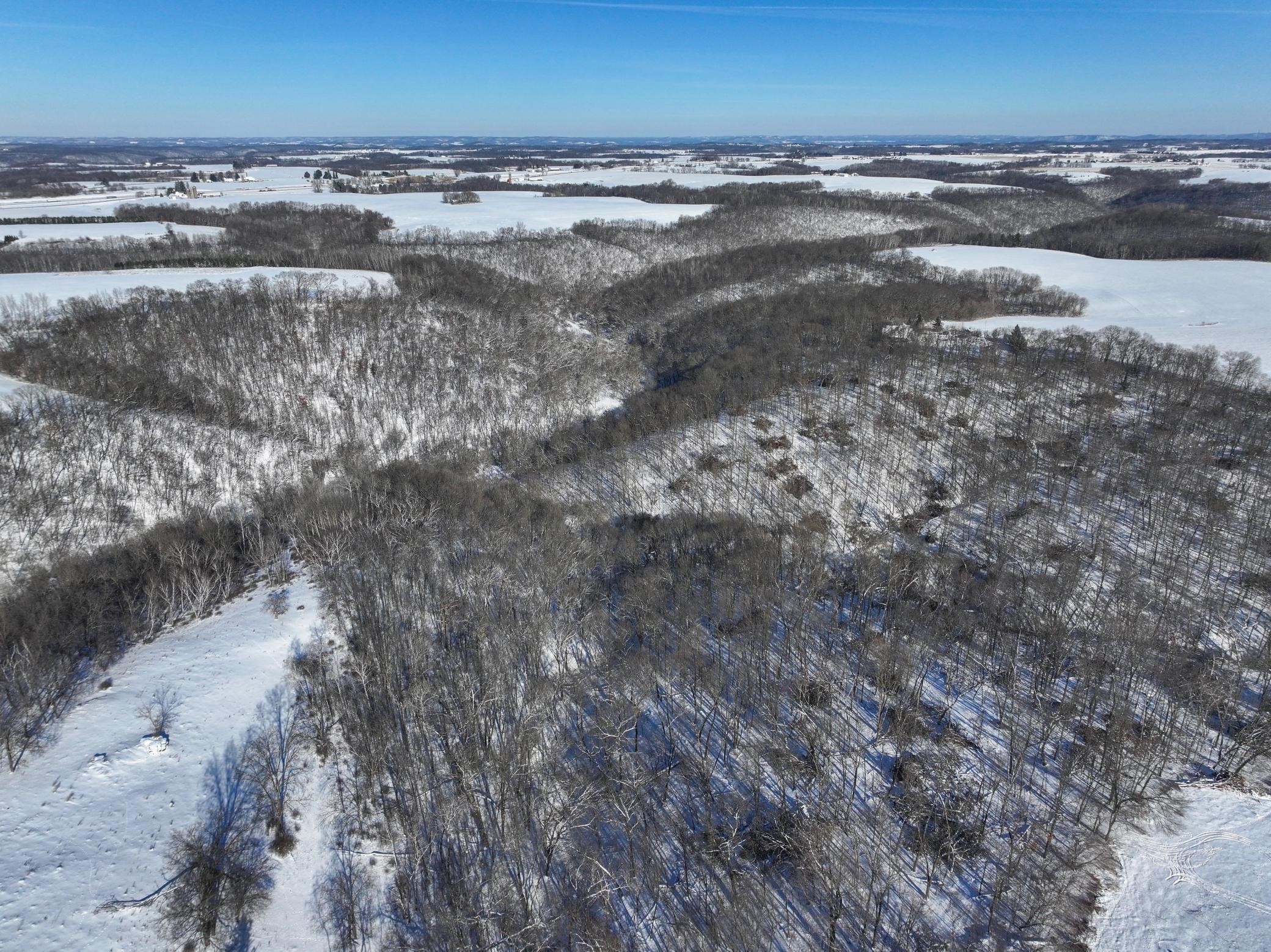 Tbd Pine Ridge Drive Dakota, MN 55925 - Photo 10 of 23