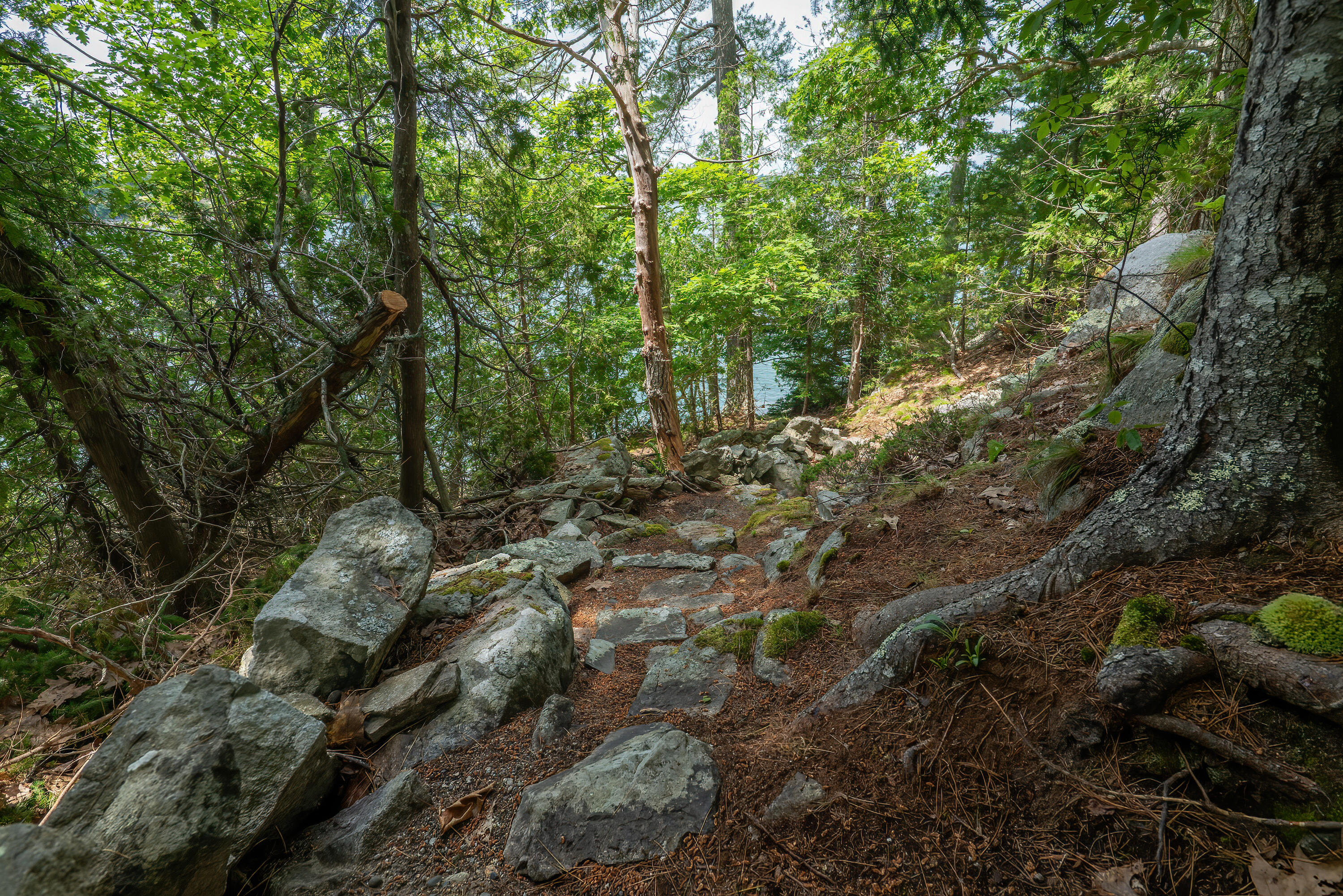 19 Hopewell Point Sullivan, ME 04664 - Photo 45 of 49 31-19 Hopewell Point, Sullivan ME-DTP