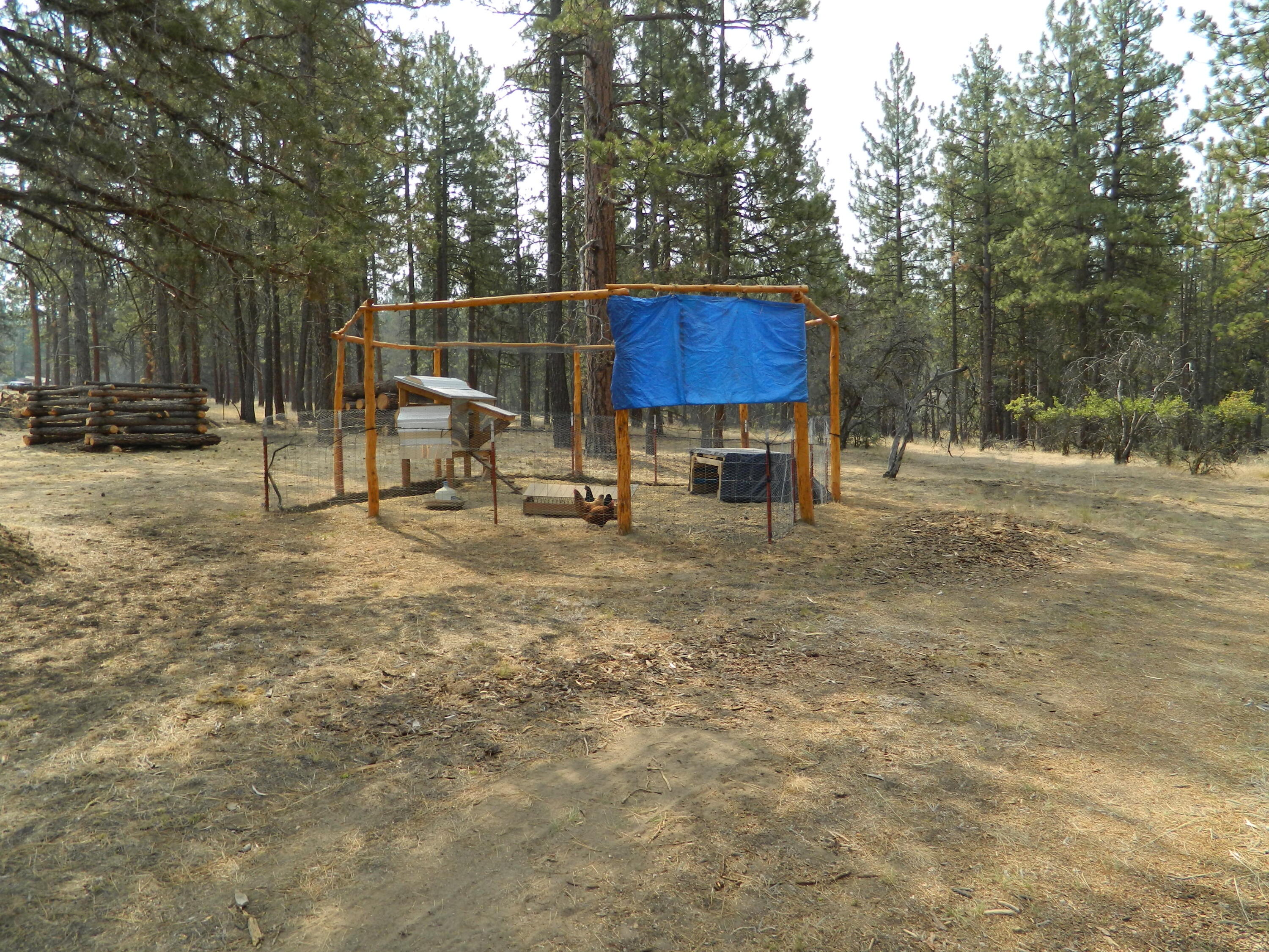 27956 Petersteiner Road Bonanza, OR 97623 - Photo 10 of 25 DSCN0069