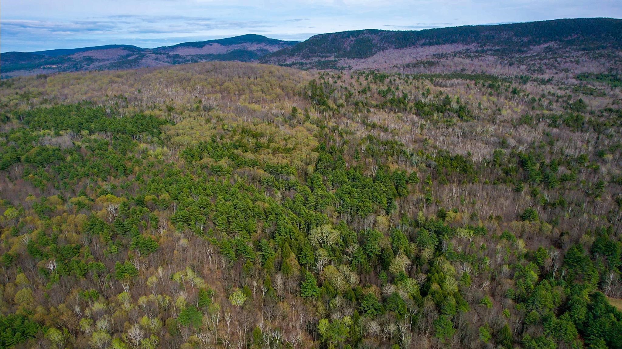 0 East Road, Unit LOT 2 Cornish, NH 03745 - Photo 8 of 17