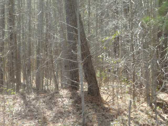 0 Swanson Road, Unit 1 Louisburg, NC 27549 - Photo 3 of 10 Gallery Image 3