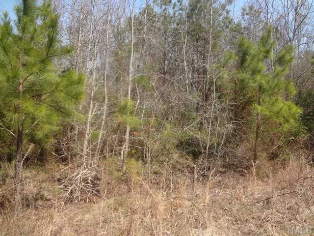 0 Swanson Road, Unit 1 Louisburg, NC 27549 - Photo 8 of 10 Gallery Image 8