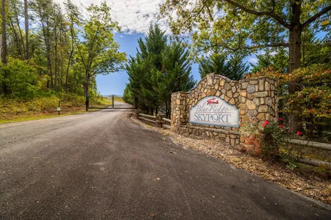 a view of a garden with plants and large trees