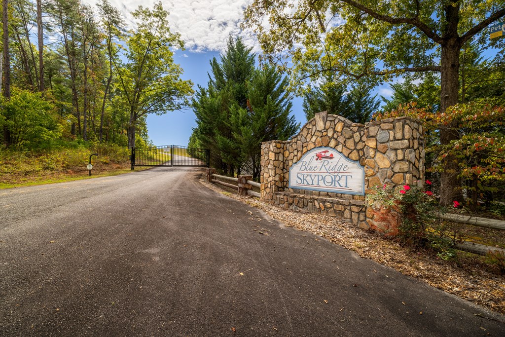 179 Cessna Loop Blue Ridge, GA 30513 - Photo 17 of 57 a view of a street with a large trees