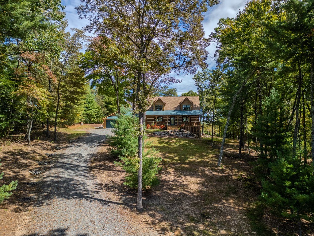 179 Cessna Loop Blue Ridge, GA 30513 - Photo 45 of 57 a pathway of a house with a yard