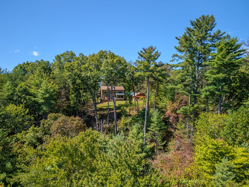 179 Cessna Loop Blue Ridge, GA 30513 - Photo 56 of 57 a backyard of a house with table & chairs and a sink