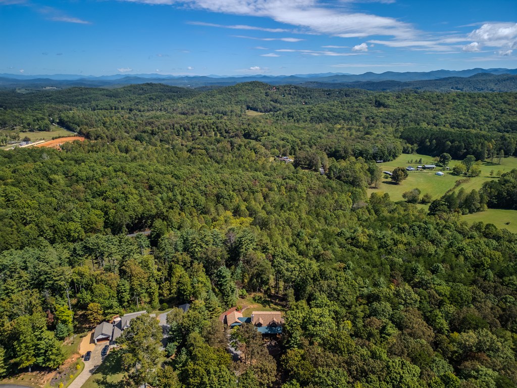 179 Cessna Loop Blue Ridge, GA 30513 - Photo 57 of 57 a view of a city with lush green forest