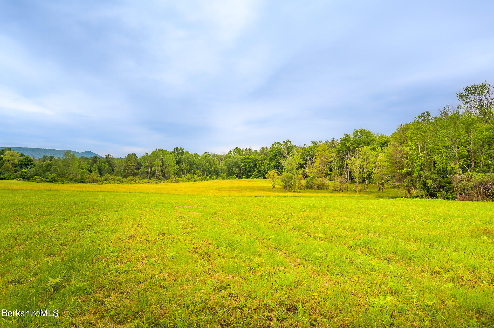 1606 State Road Richmond, MA 01254 - Photo 50 of 55 Fields