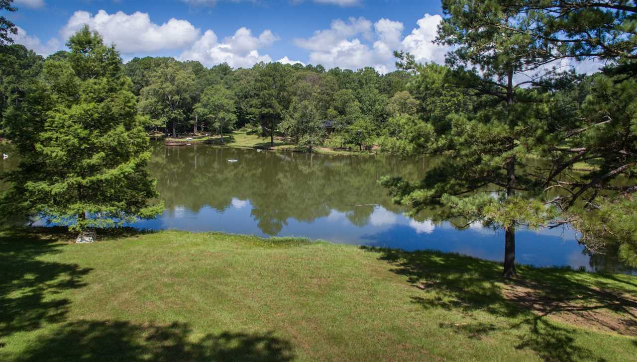 1484 Hall Road Edwards, MS 39066 - Photo 35 of 44 Photo 35