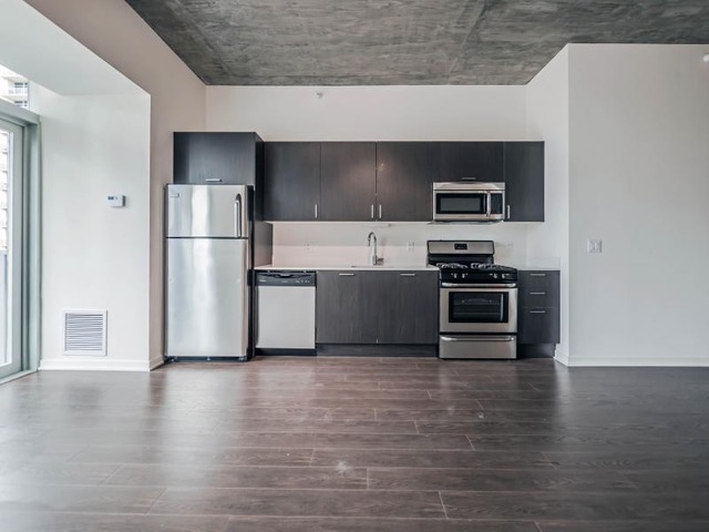 1345 South Wabash Avenue, Unit 902 Chicago, IL 60605 - Photo 6 of 10 a kitchen with wooden cabinets and stainless steel appliances
