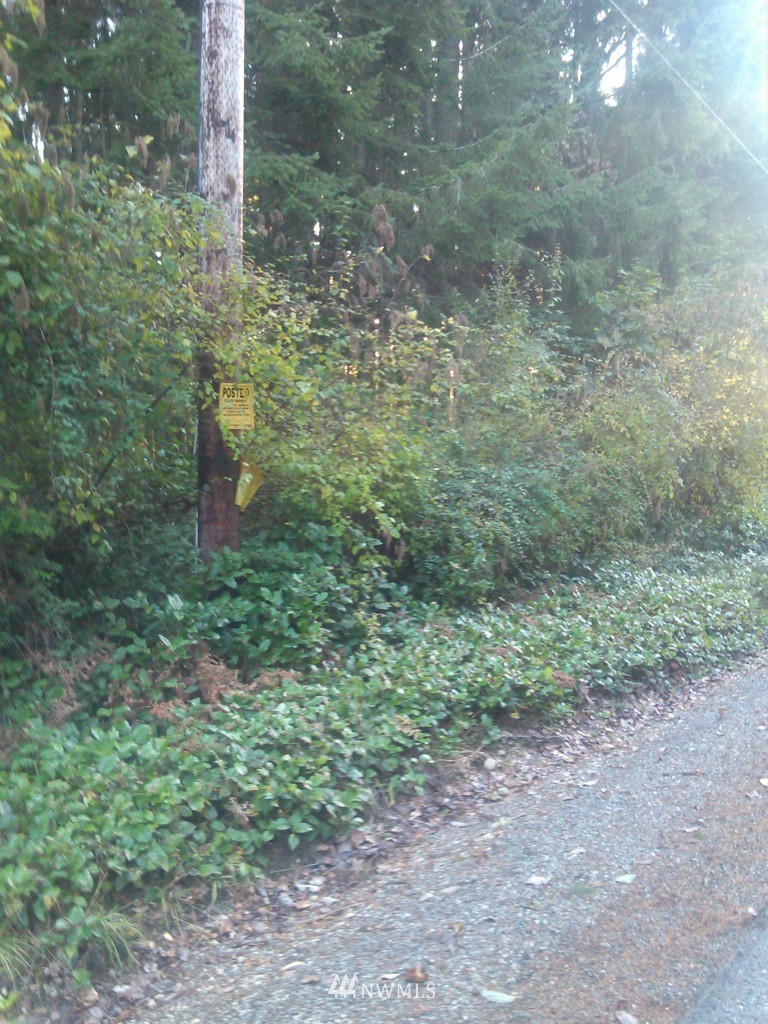 12345 Culver Road Olalla, WA 98359 - Photo 1 of 1 Gallery Image 1
