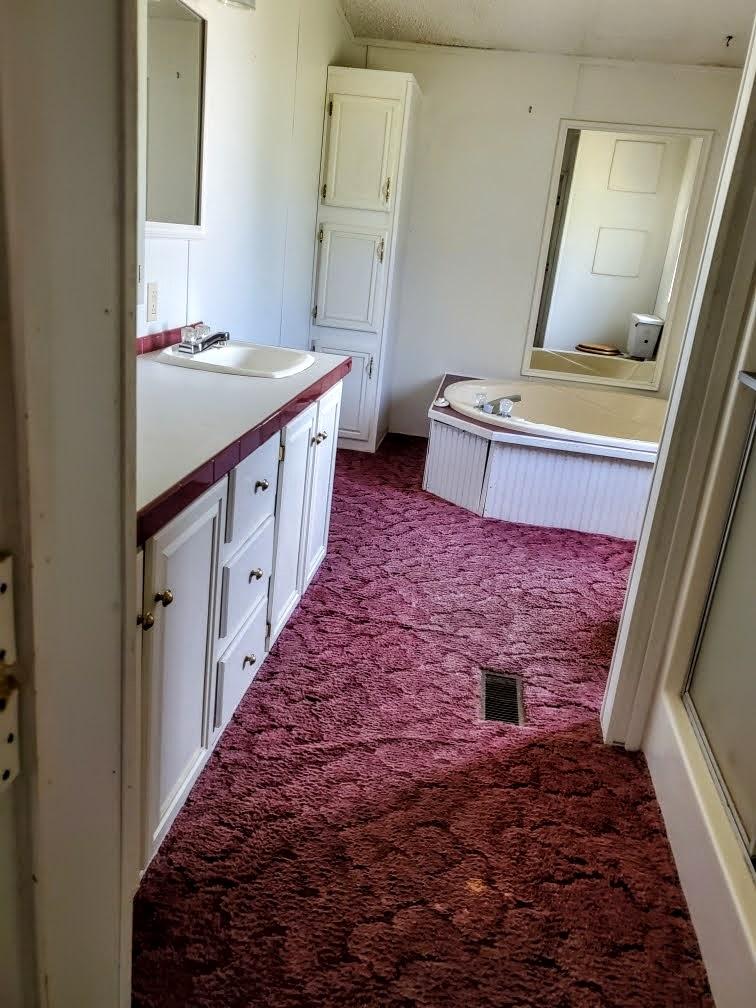 430 Bedon Road Walterboro, SC 29488 - Photo 7 of 12 Master Bath