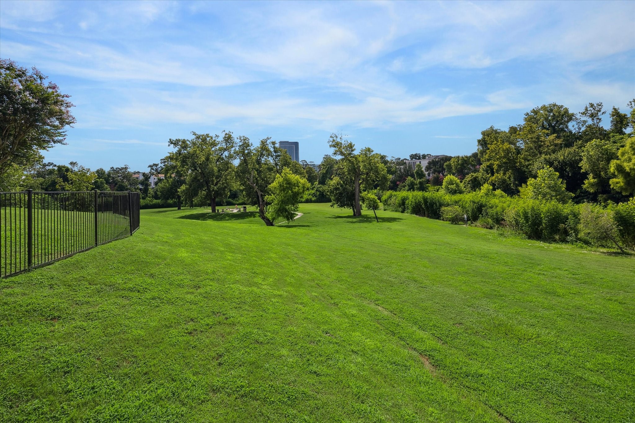 5353 Memorial Drive, Unit 1017 Houston, TX 77007 - Photo 15 of 23 a backyard with a garden and trees