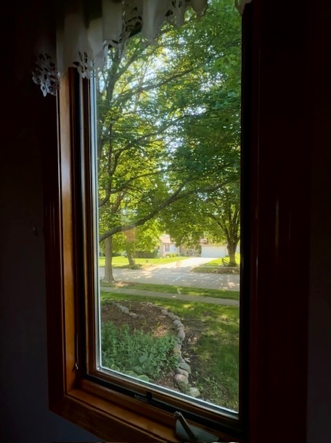 2707 Worcester Drive Champaign, IL 61821 - Photo 117 of 176