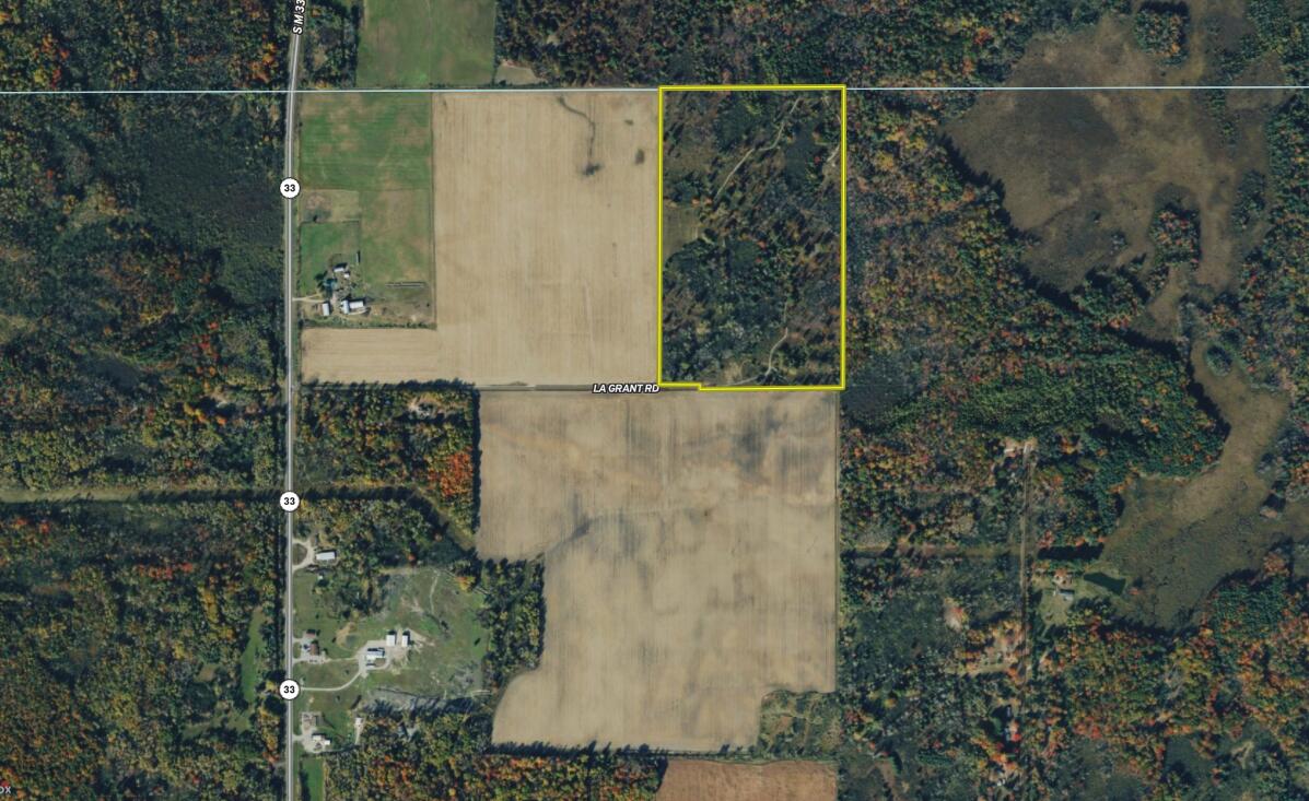 La Grant Road Alger, MI 48610 - Photo 46 of 46 Aerial001_Luther_68.92_Arenac