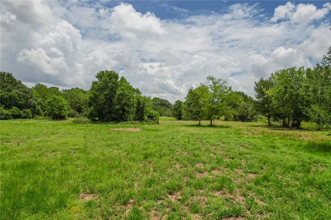 Tract #1-11.2ac) Tract Road College Station, TX 77845 - Photo 11 of 19 a view of a green field with wooden fence