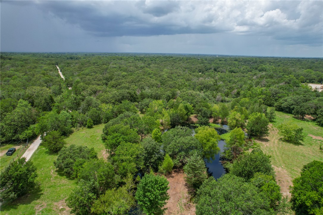 Tract #1-11.2ac) Tract Road College Station, TX 77845 - Photo 13 of 19 a view of a backyard