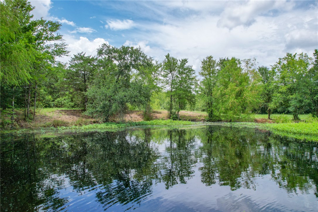 Tract #1-11.2ac) Tract Road College Station, TX 77845 - Photo 4 of 19 a view of a water pond with green yard